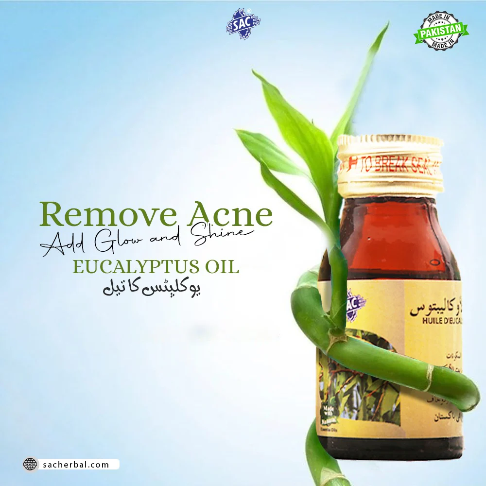 euclyptusOil30ml-axtarstore1 “SAC Eucalyptus Oil 30ml – sızanaq əleyhinə təbii bitki yağı” “Eucalyptus essential oil – dərini təmizləyən və məsamələri açan yağ” “SAC® Eucalyptus Oil packaging – təbii antibakterial efir yağı” “Anti-acne natural eucalyptus oil – parıltı və təmizlik üçün”